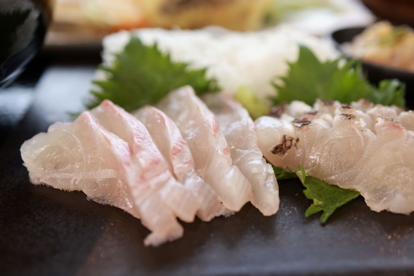 熊本県天草牛深の新鮮な地魚料理をお楽しみください！ペットOKペットと一緒に天草を満喫してください